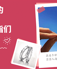 ɹɹ��Ľ���ָ�� Ӯȡ�������κ�