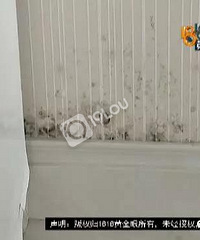 ùһŮӼ©ˮ ζ꣡ʧѿ飡