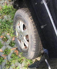 С���ｩʬ������û�˹ܵ���ͣ����ô���ˣ���