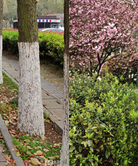 Ϊ�˱�̥��Դ�� �������10�