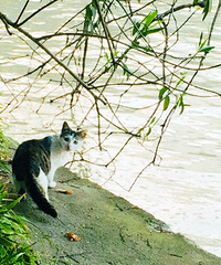 �����͵��۹⿴���磬��������ʻ�����