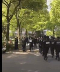 ������ͷ����ͷ���ã�����ĳС������������