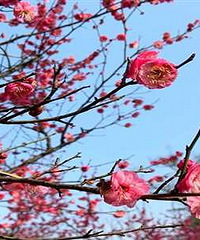 ����4�º÷�⣡����̤����ȥ��