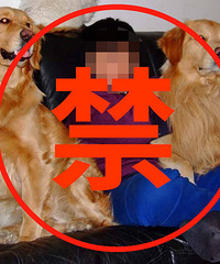 �µ���Ȯ����������������������ŭ�ˣ�����2��Ķ�ţȮҪ������