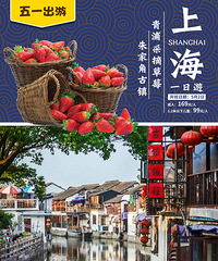 五一去这儿!上海朱家角古镇游船 青浦采草莓!体验不一样的乐趣