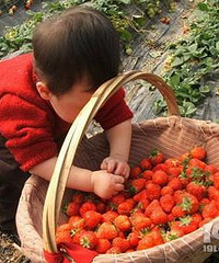 ��һȥ������Ϻ���ҽǹ����δ� ���ֲɲ�ݮ�����鲻һ������Ȥ