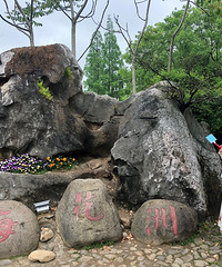 ���С��÷���� ����һҹ�ķ�ϵ��������