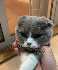 94��˧����Ů�ѣ�������ר�� ���׷��г���н15��