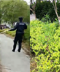 һŮ���ɲ�ƺ��һŮ���ɷ��� ����...