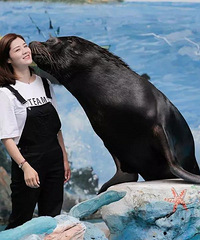 �����յĴ���è ���趼���Ϻ�Ұ������԰�ˣ���ҲҪȥ��