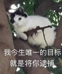 ����Ҫ����