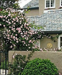 �ҵ����ݽ��˸�Χǽ �������α��ھ�Ͷ�ߣ���󱻸��Ϸ�ͥ��