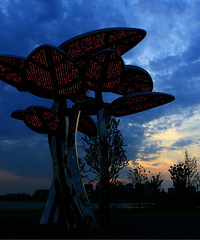 ������ӿ�ʺ���