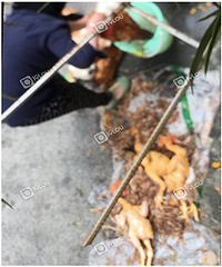 С�����ɡ����׳����� ¶��ɱ�� Ѫ�ȡ�