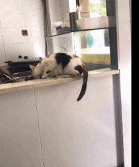 ����ĳ�͹ݳ�����Ȼ��ֻè��������ʱ͵�ԡ�