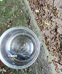 ̫ŮӴӺɫСϺ200֮һĸ