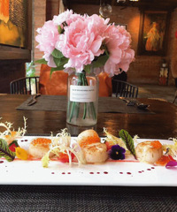 8����Լ��֮��ᾫӢר��������ļ�У����оƣ����й�����