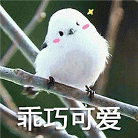 想要远嫁蒙古 妈妈威胁我要自杀 但我还是嫁了!