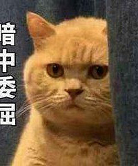 男友居然让我出30多万买家电 还不给我在他的贷款房加名字