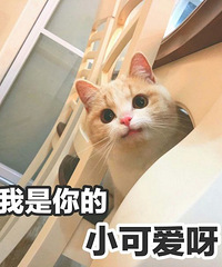 不尴尬?同事离婚两年多 有时还叫她前婆婆过来带孩子