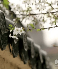 ��������20���ӳ��̵Ĺ�����䣬������������С����~