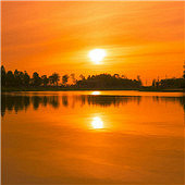 ��������ϼ