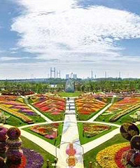 ������ȥ������ ������õ�ĸ�׽����