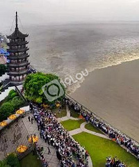 ����������԰����ͨ�����衭���˵���Щ��ĿҪ�ڷɣ�