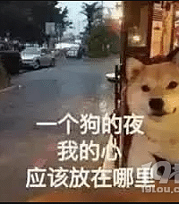 【活动】520要脱单!发帖参与活动 小红娘给你一对一介绍!