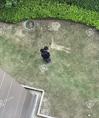 ͻĳС33Ӵʮ¥׹ ϱҳεĿ