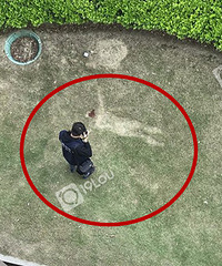 ����ĳС������׹¥���ҳ����οӣ�