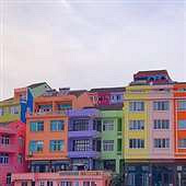 ��wanghong��ɫС���