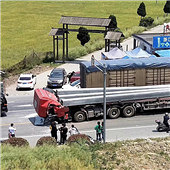 ���е�ֲ���