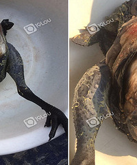 �򿪼��������ˣ�90�����˶�û������