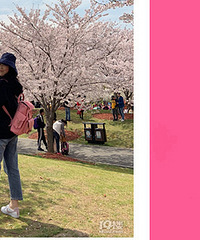 91�����MM ����169 ϲ�������У�