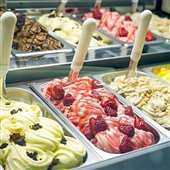 �������Ա���ܣ�