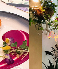 �п���ʱ���ܿ������ģ����ޣ�