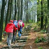 ͽ�����ϵ�һɽ