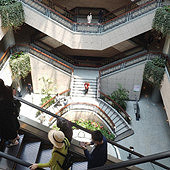 �����Ĺ�չ