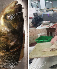 ���ӣ����˲˳������������Ҫ1���