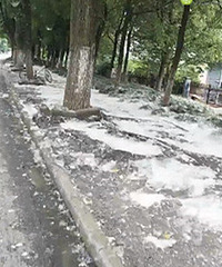 ����Ʈѩ���л���·�������ൽû����