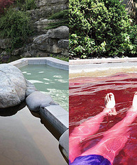 ޹�²ݳ� ˮ���ؾ�Ȼ���п��ȳ� �������