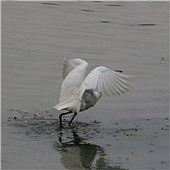 ���еİ���