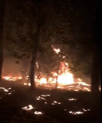 ��ҹͻ����320�����ߵ��̻����Ż��ˣ�����ֱ��3�ס�