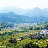 ɽ��ķ��������ζ