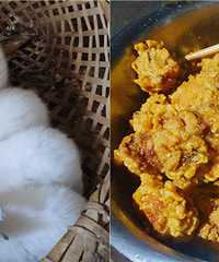 ��ְ�������������ӳ��� �������ȥ��