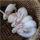 ��ְ֮�� �Ҵ���������