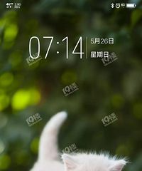 ���ۣ����������ļ�ͥ ��ĸ����ƽ��������ڲƲ��ϵĸ��裿