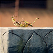 ��һ���ĽǶȿ�����