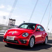 ���೵�� ������©